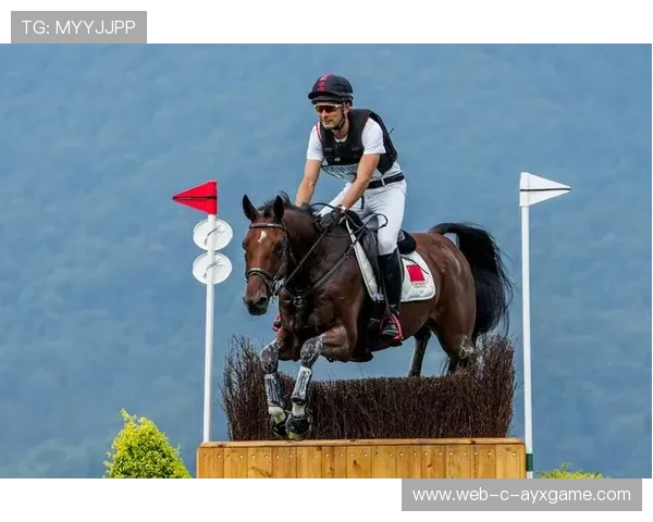 全场马术大奖赛高潮迭起，马术比赛现场